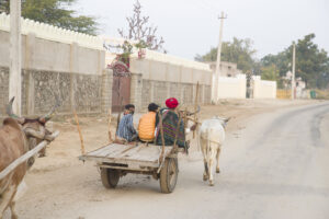 Jawai sightseeing tour