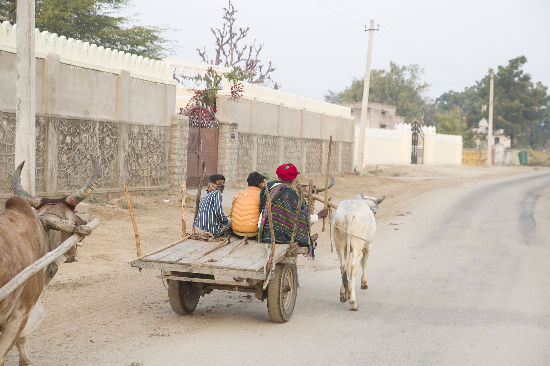 Jawai sightseeing tour