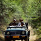 Leopard safari in jawai