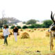 Leopard safari in jawai