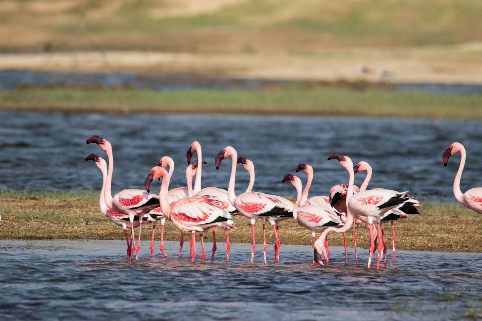 Jawai sightseeing tour