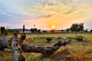 Jawai sightseeing tour
