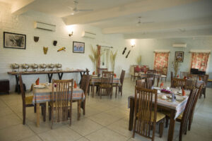 luxury resort in jawai