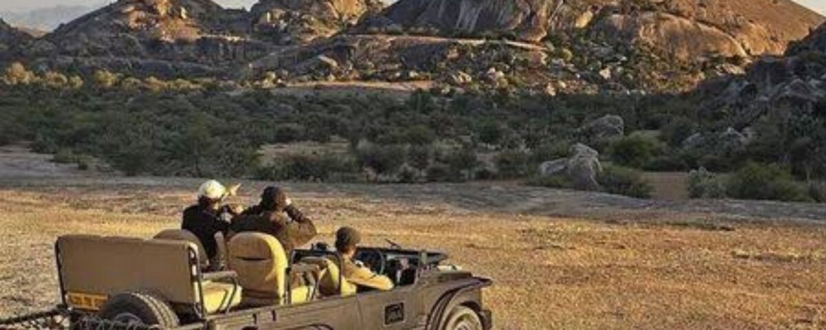 things to do in Jawai