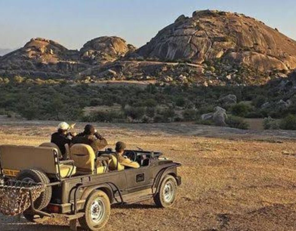 things to do in Jawai