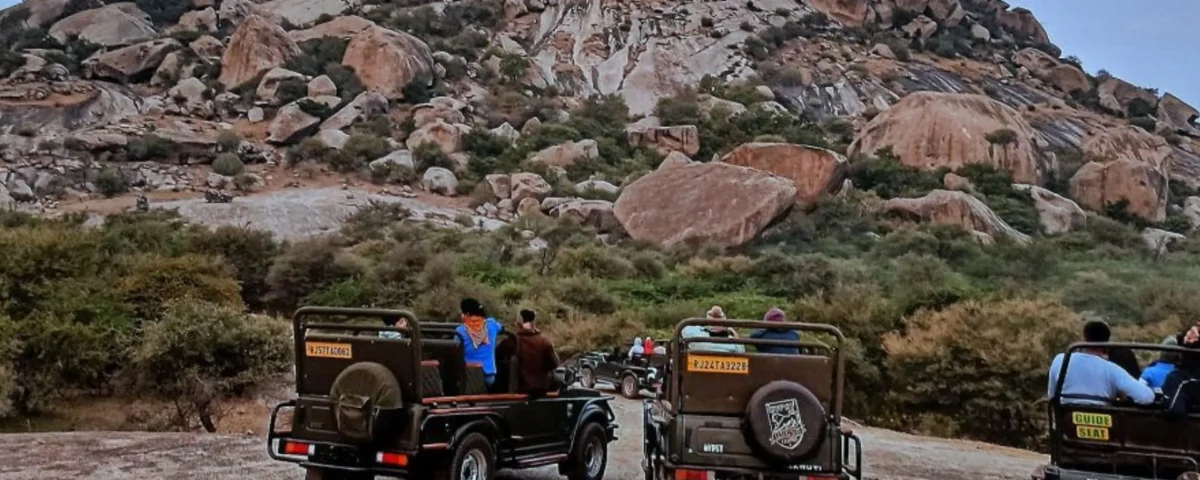 resort-jawai