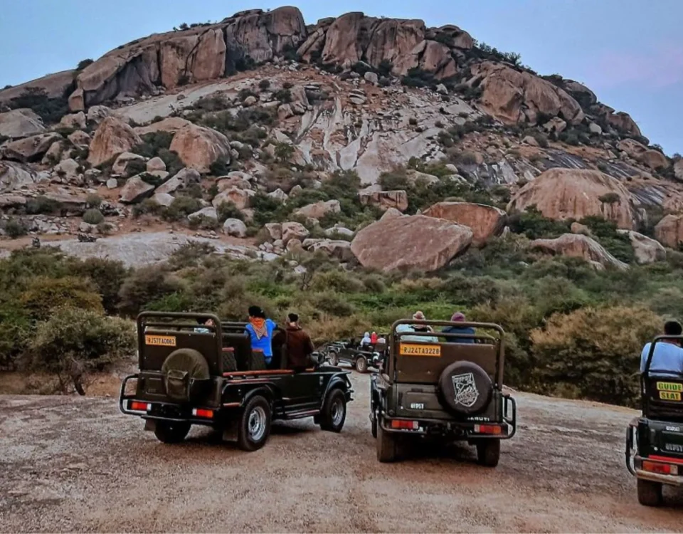 resort-jawai