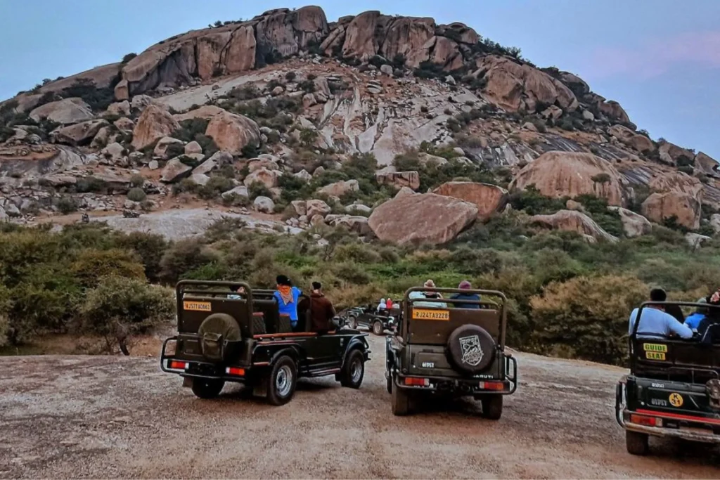 Jaipur to Jaisalmer safari tour 